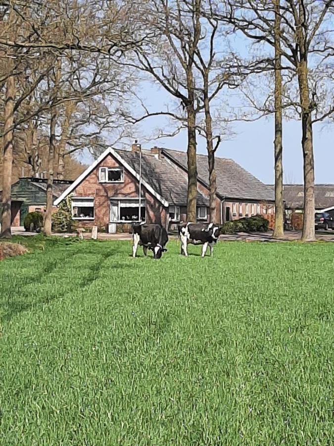 Woudenberg Hoeve De Laan מראה חיצוני תמונה